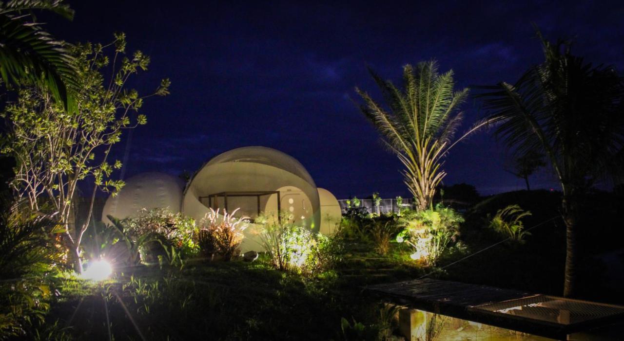 Green Land Bubble Glamping By Mint Cabarete Ngoại thất bức ảnh