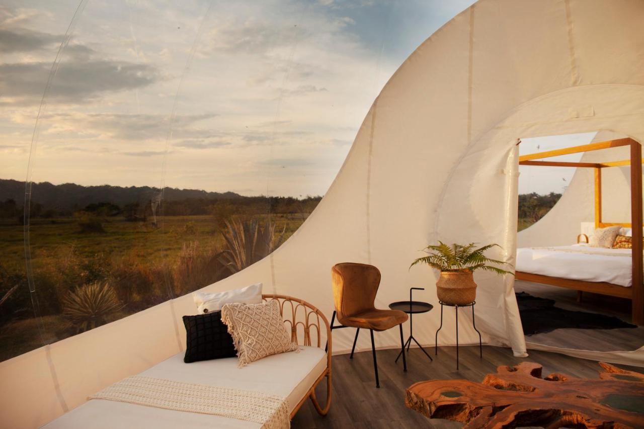 Green Land Bubble Glamping By Mint Cabarete Ngoại thất bức ảnh