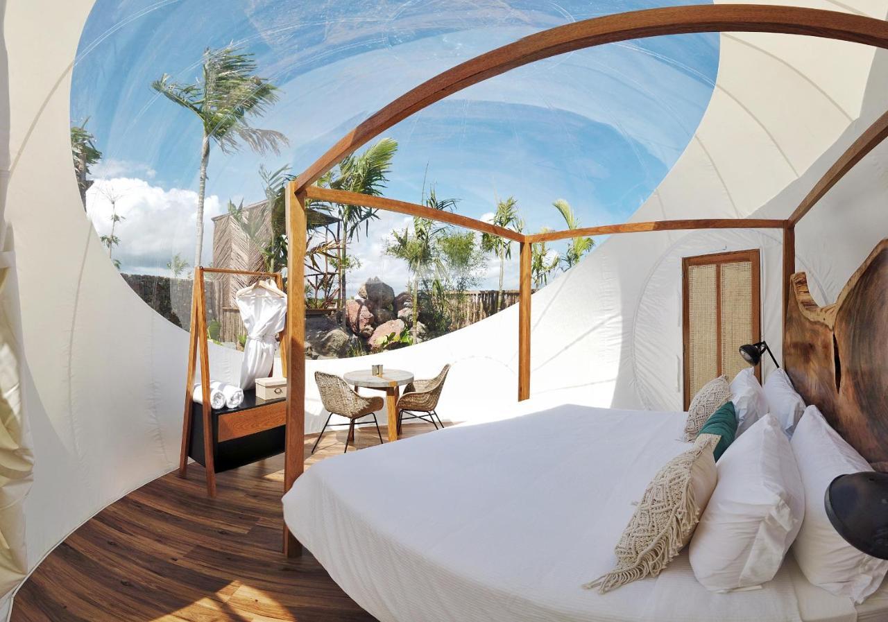 Green Land Bubble Glamping By Mint Cabarete Ngoại thất bức ảnh