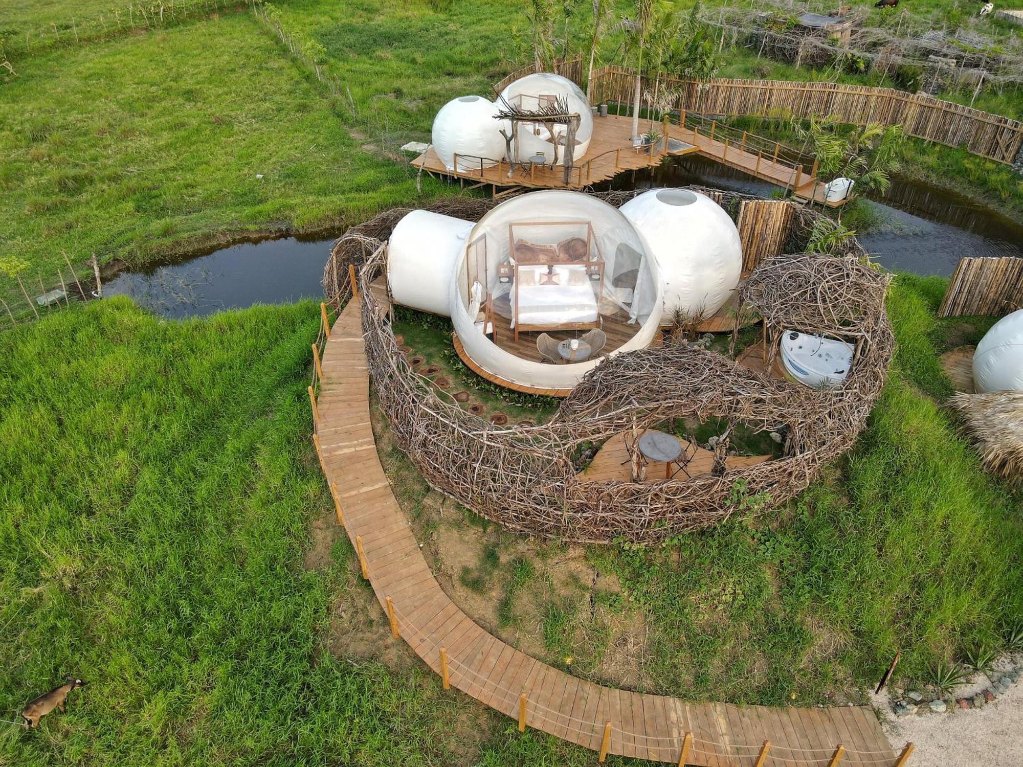 Green Land Bubble Glamping By Mint Cabarete Phòng bức ảnh
