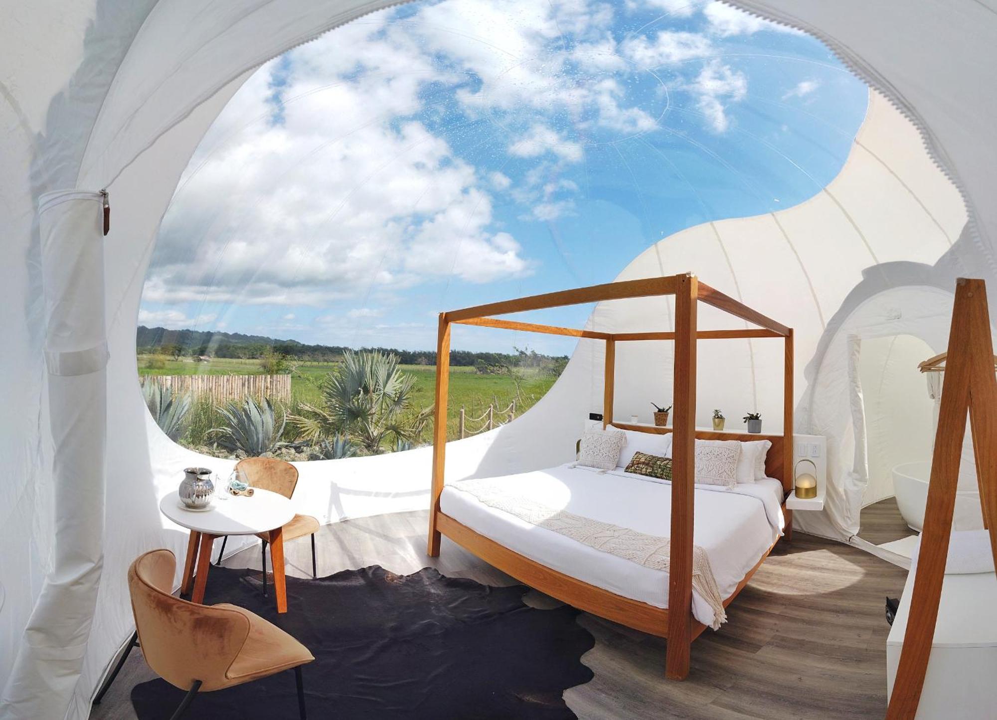 Green Land Bubble Glamping By Mint Cabarete Phòng bức ảnh