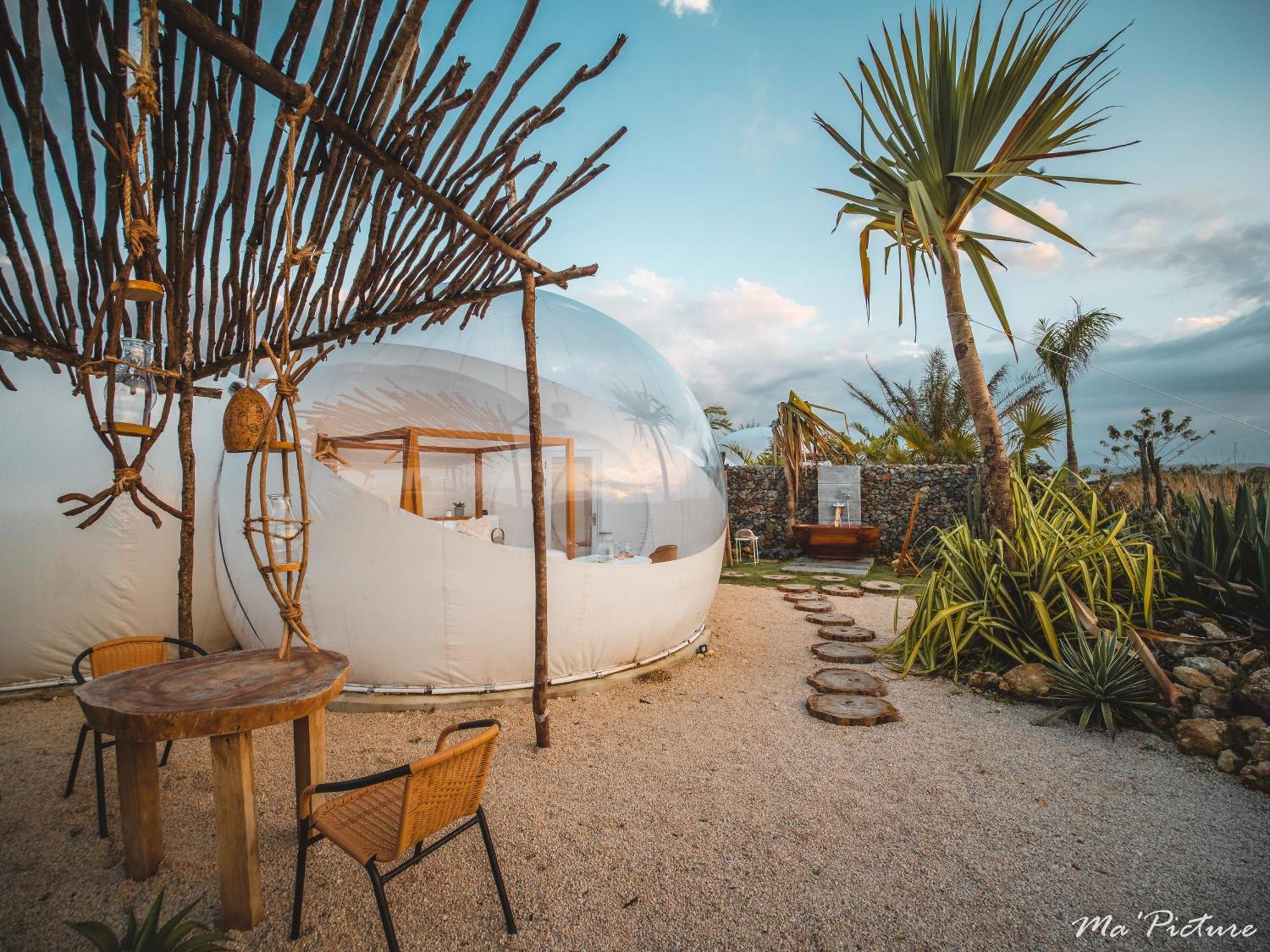 Green Land Bubble Glamping By Mint Cabarete Phòng bức ảnh