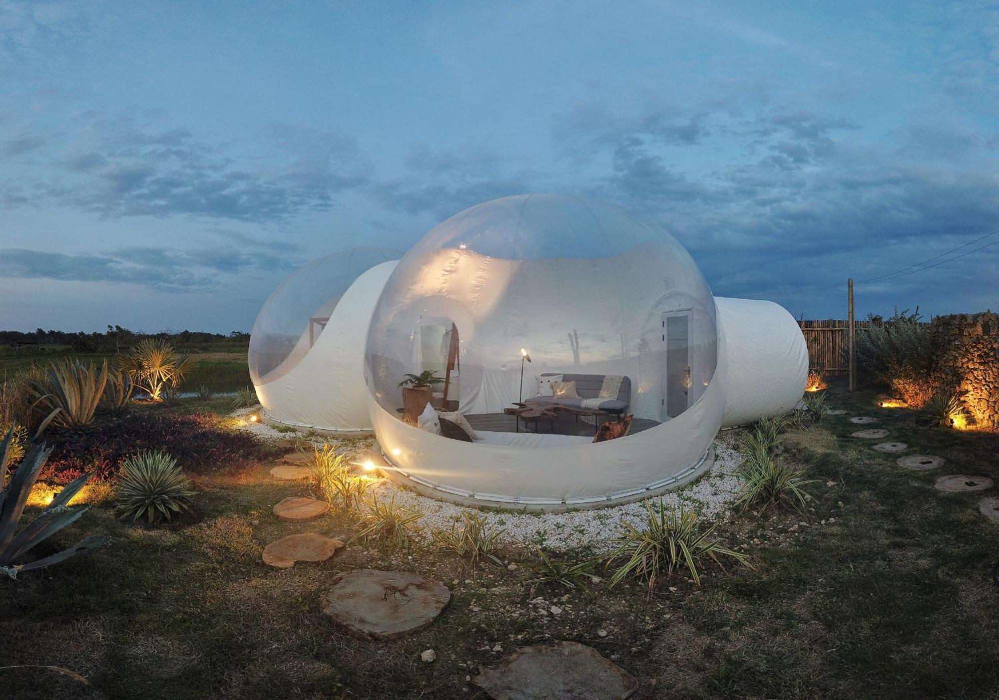 Green Land Bubble Glamping By Mint Cabarete Phòng bức ảnh