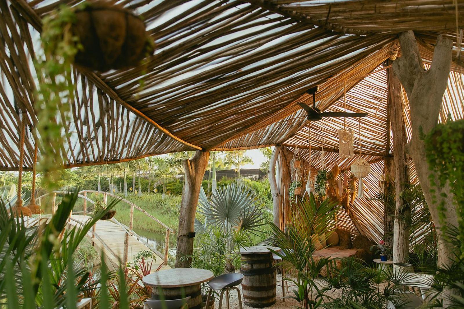 Green Land Bubble Glamping By Mint Cabarete Ngoại thất bức ảnh