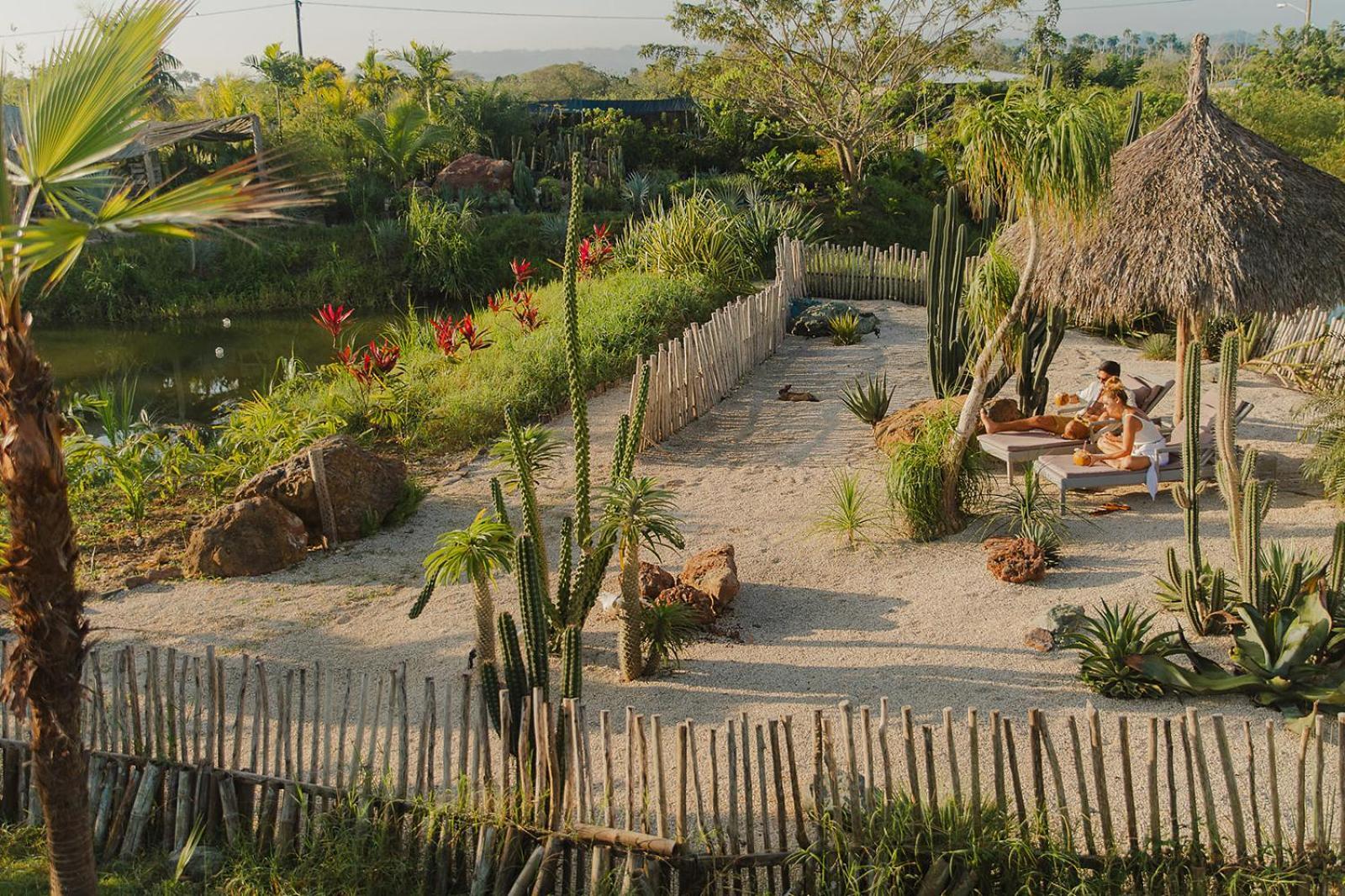 Green Land Bubble Glamping By Mint Cabarete Ngoại thất bức ảnh