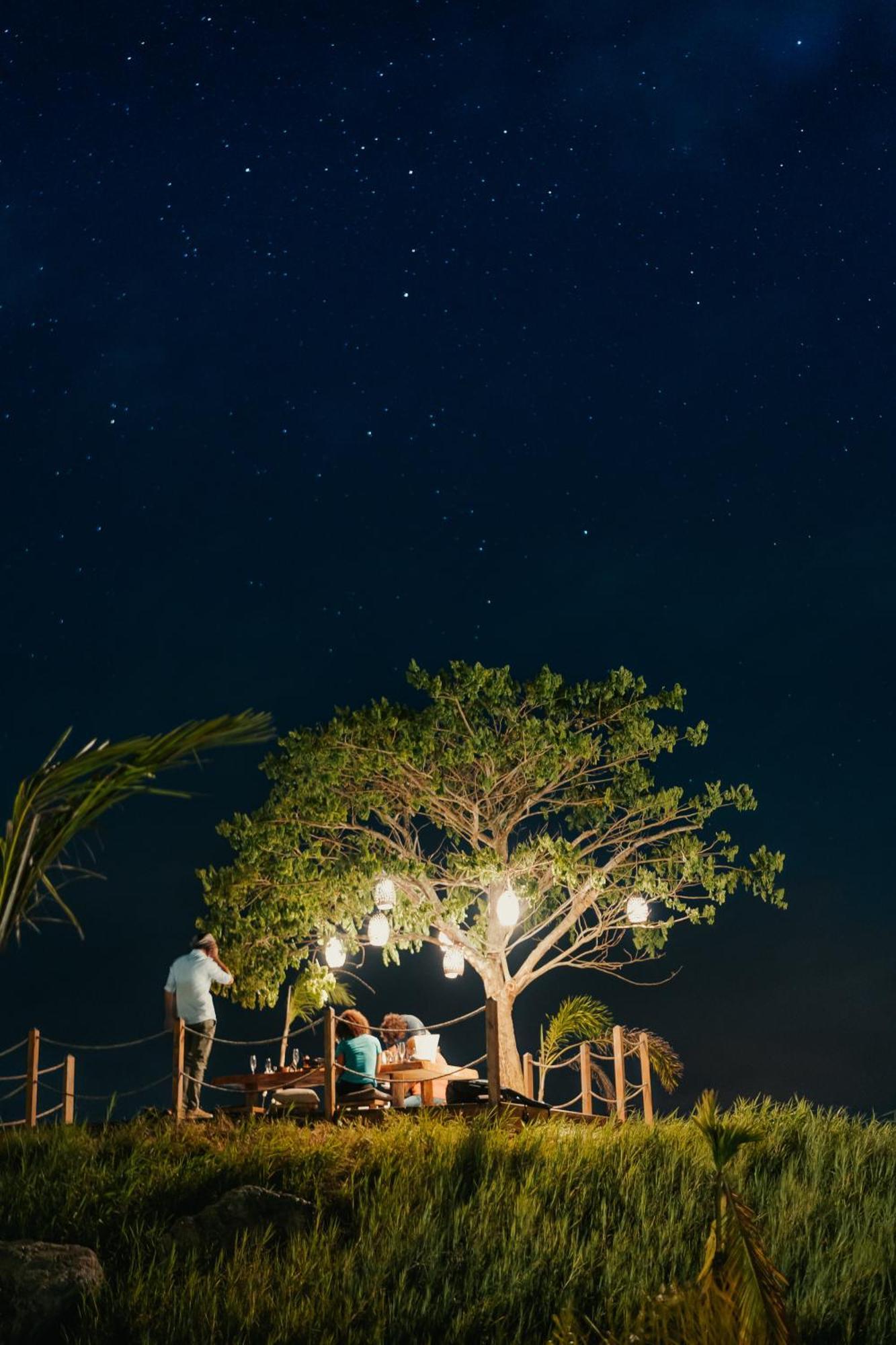 Green Land Bubble Glamping By Mint Cabarete Ngoại thất bức ảnh